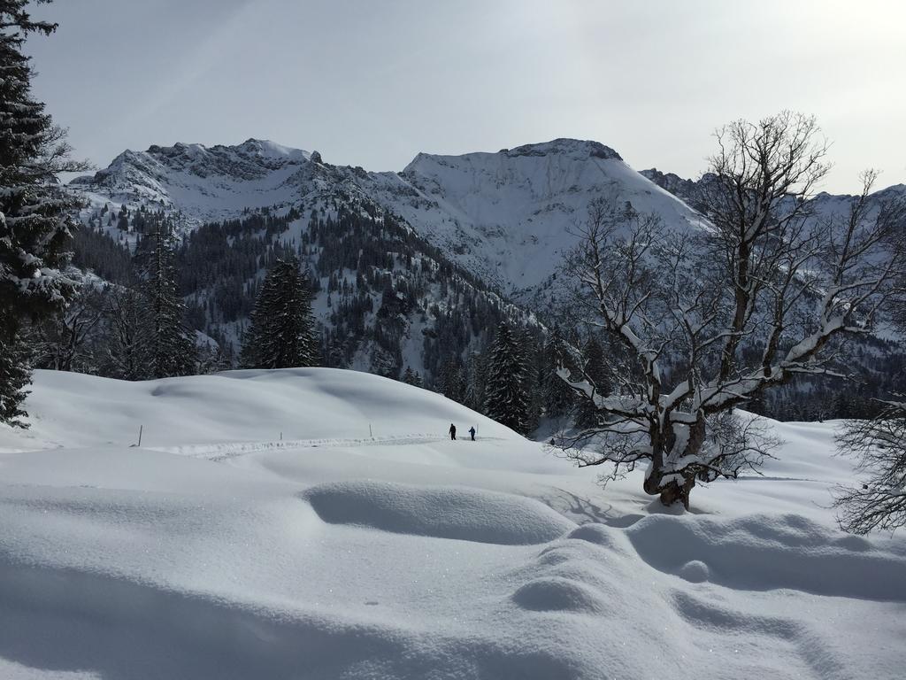 Hotel-Gasthof Der Wiesengrund บาดฮินเดลัง ภายนอก รูปภาพ